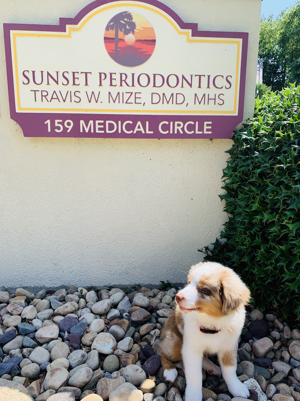 Sunset Periodontics & Implant Dentistry photo 5