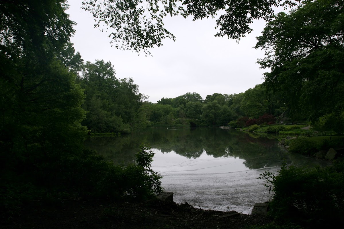 Central Park Oral & Maxillofacial Surgery photo 2