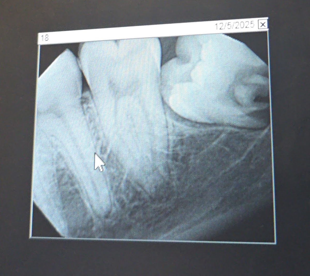 Mountain Lake Dental photo 3