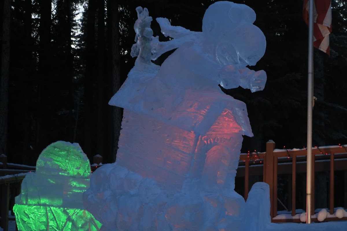 Northern Lights Dental Clinic photo 1