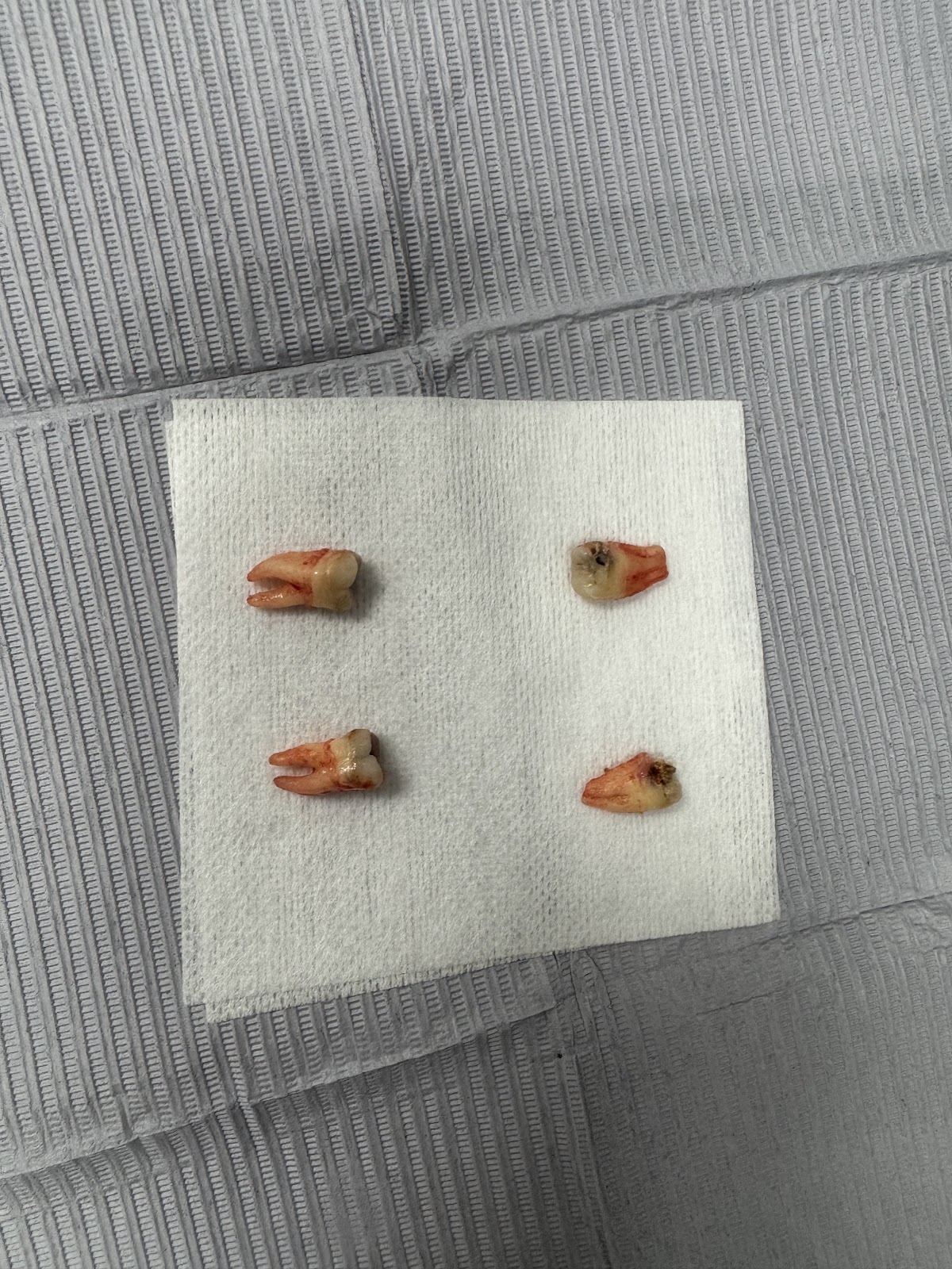 Florida Oral Surgery photo 6
