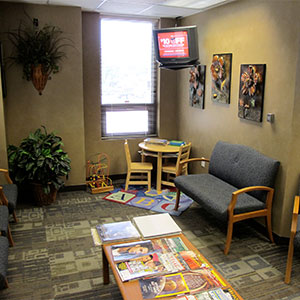 Dr. Rick Kava's Sioux City Dental photo 4