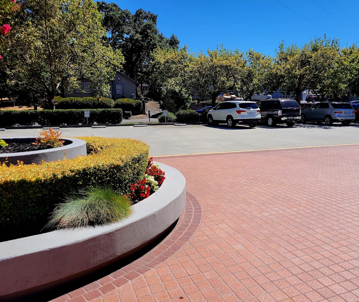 Clearchoice Dental Implant Center - Walnut Creek photo 5