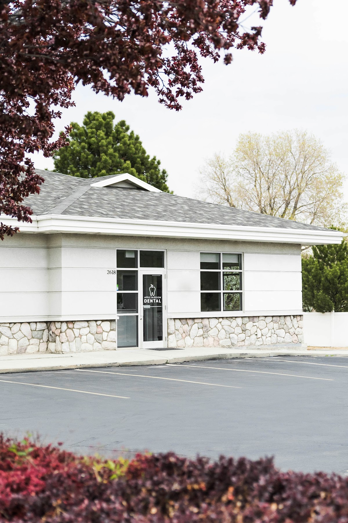 Apple Blossom Dental photo 5