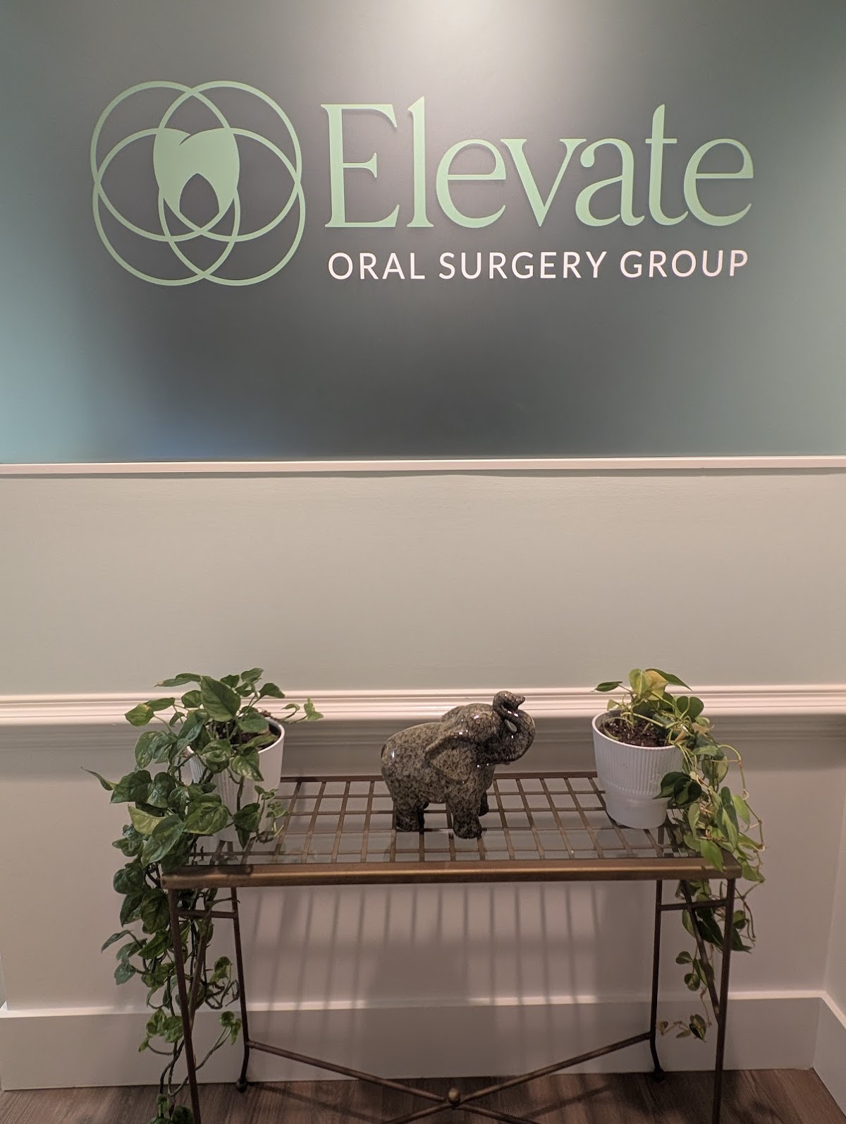 Elevate Oral Surgery Group photo 4