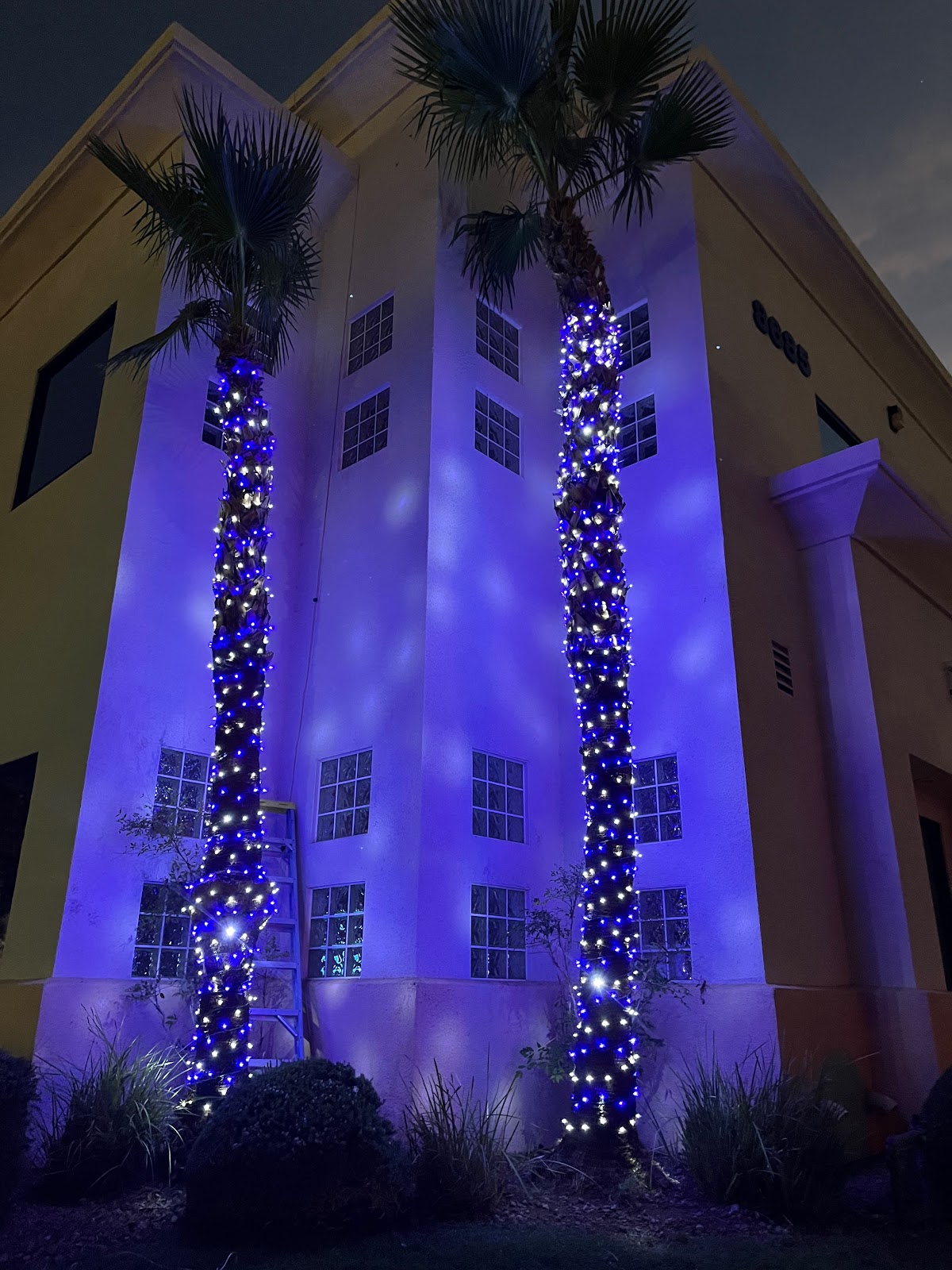 Dream Dental Implant Center photo 2