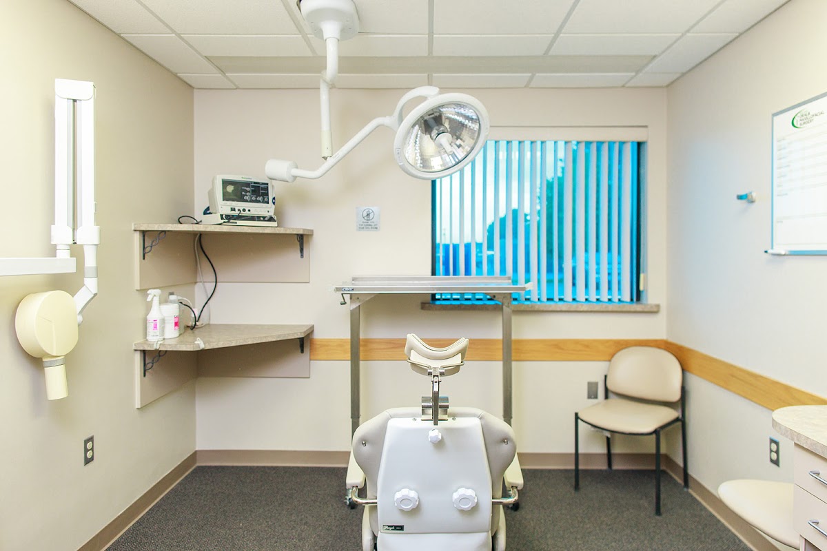 Midland Oral & Maxillofacial Surgery P.C. photo 2