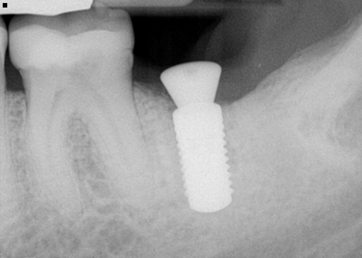 Yuri Veber Dds, Ms photo 5