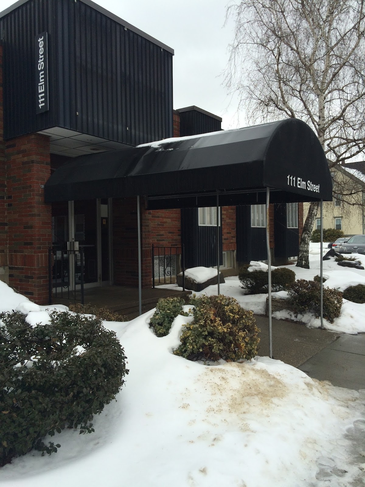 Common Park Dental photo 3