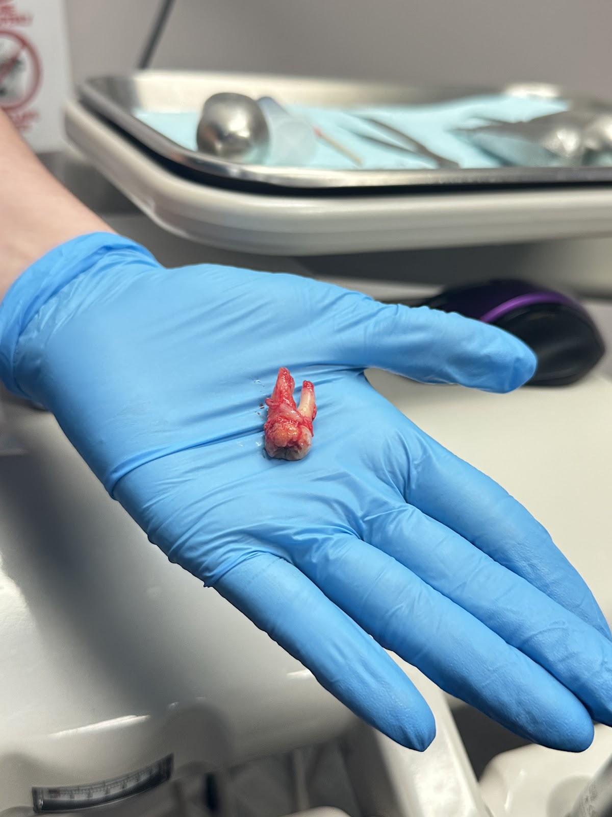 Westphalia Dental Implant Center photo 5