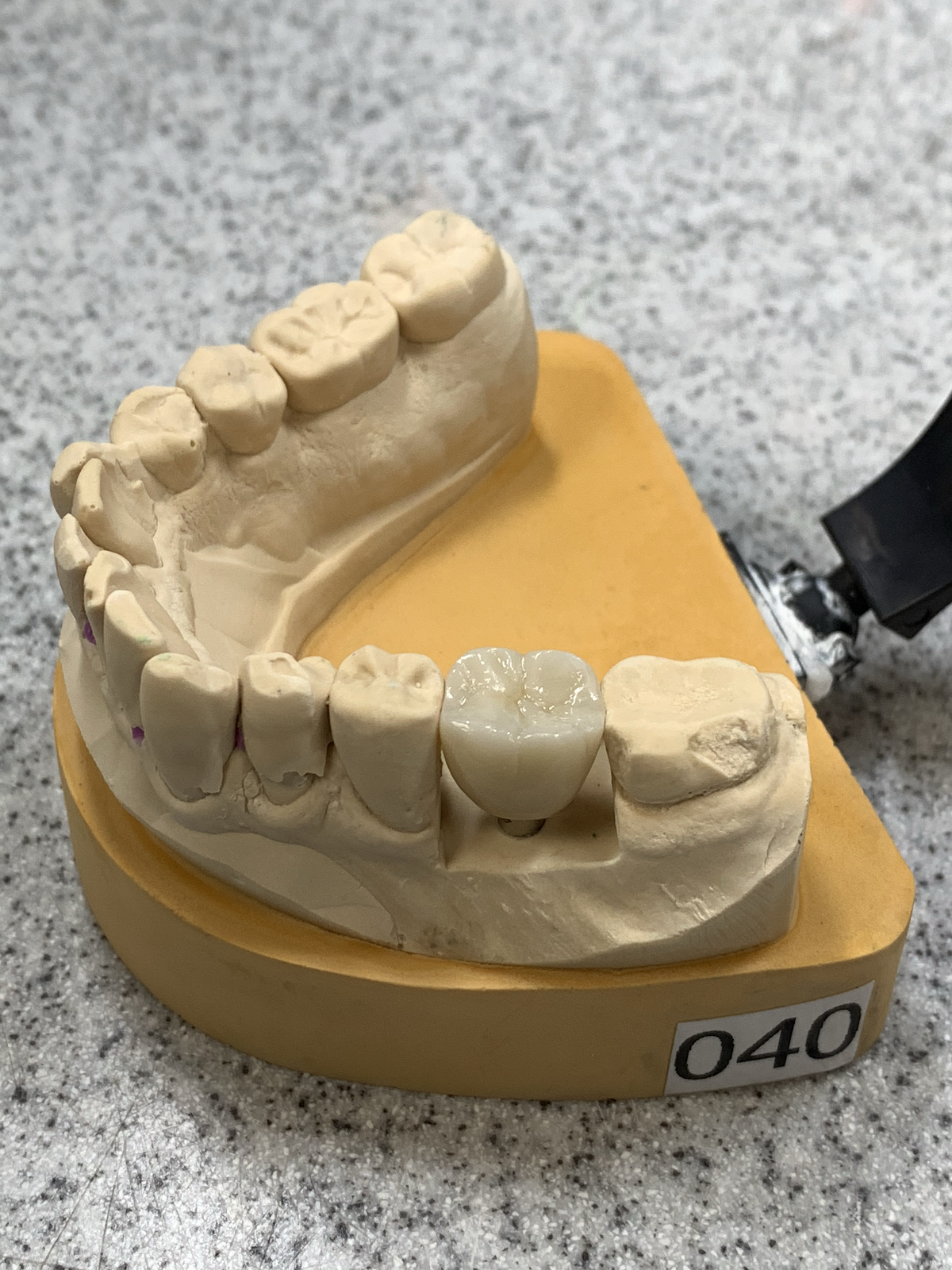 Great State Dental Lab photo 3