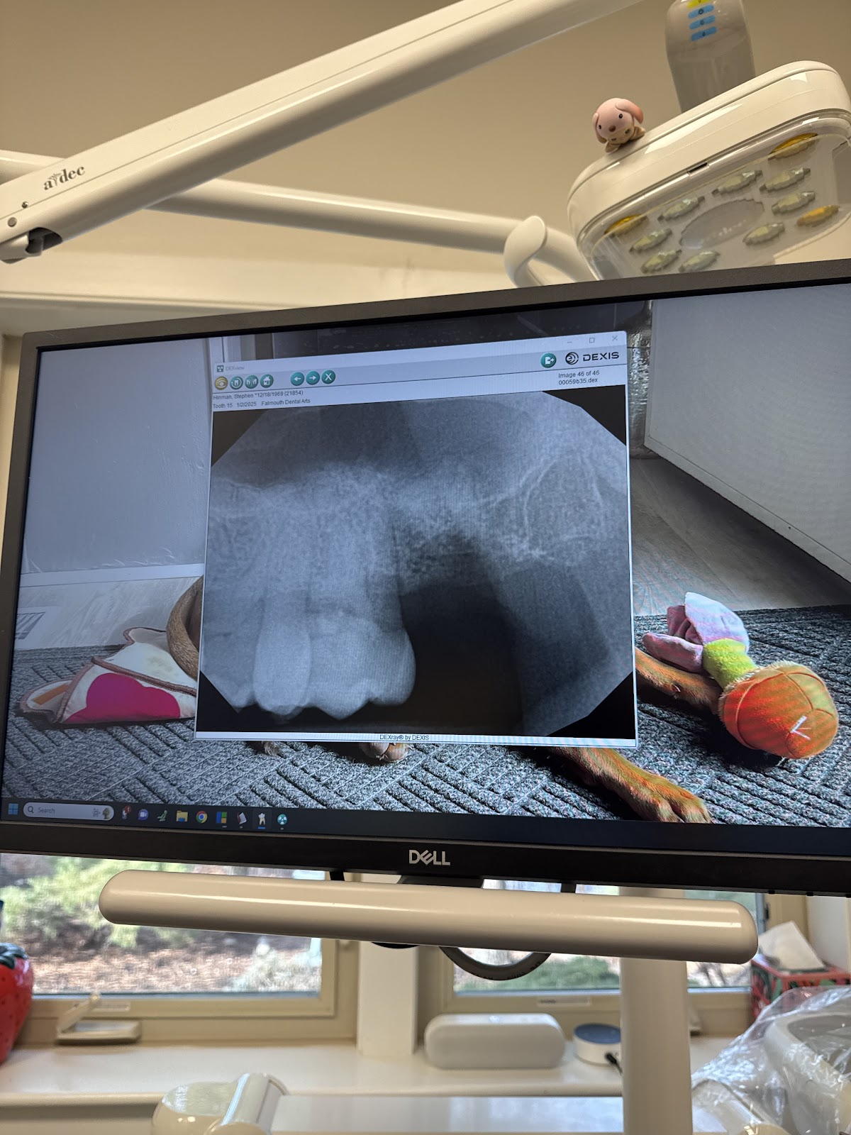 Falmouth Dental Arts photo 6
