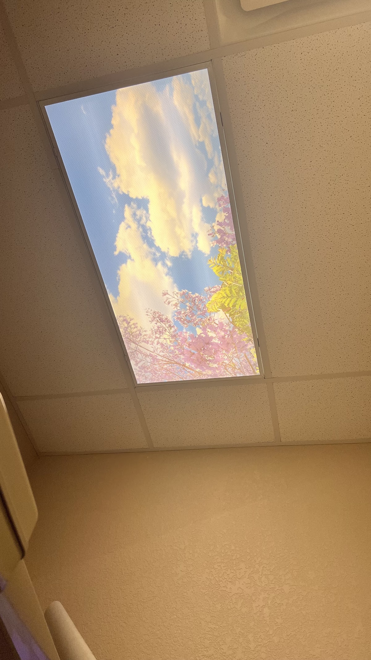 Rasmussen Family Dental - Fort Myers photo 6