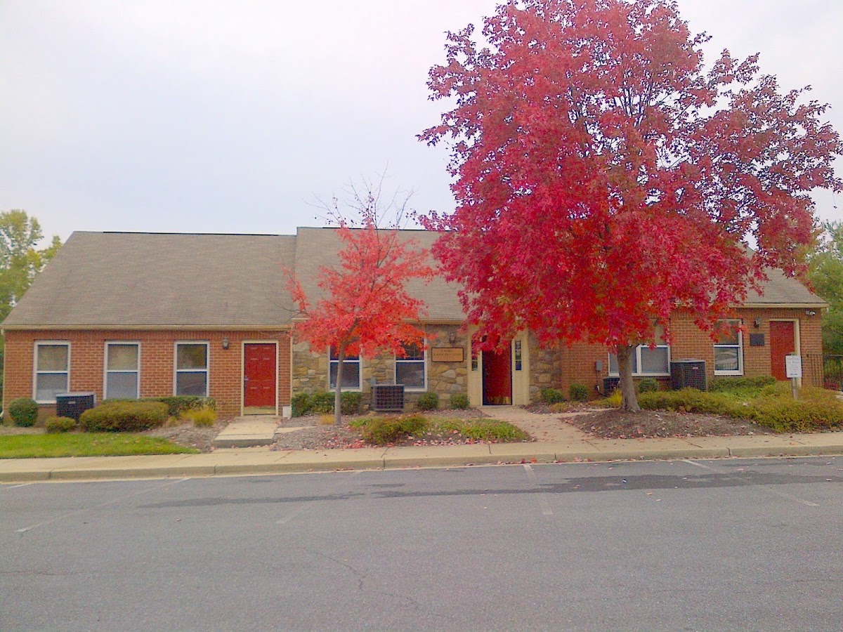Laurel Laser Dentistry photo 5