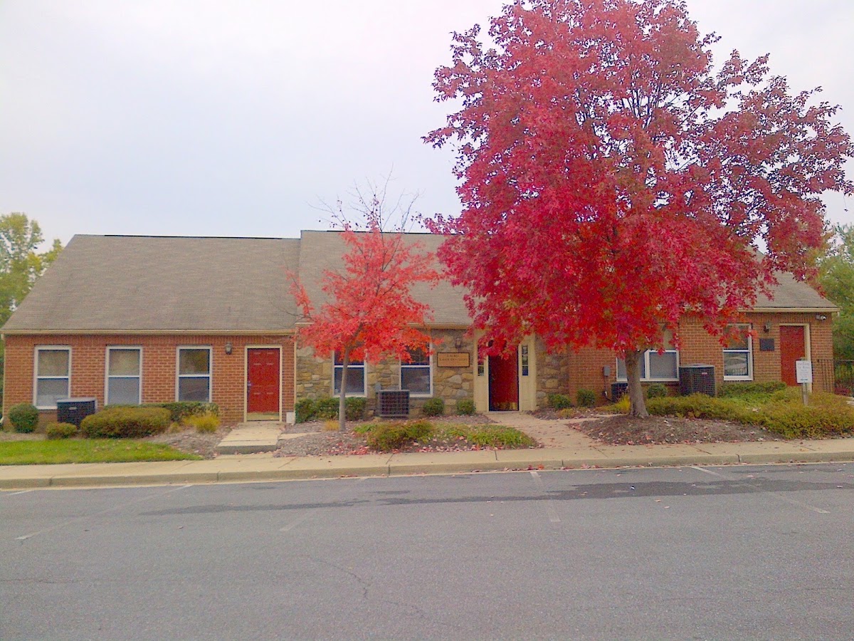 Laurel Laser Dentistry photo 5
