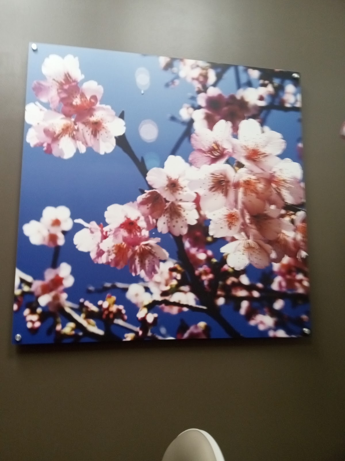 Aspen Dental - Gardendale photo 3