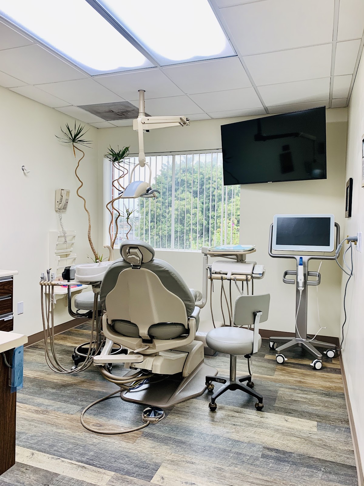 Serene Smiles Dental photo 4
