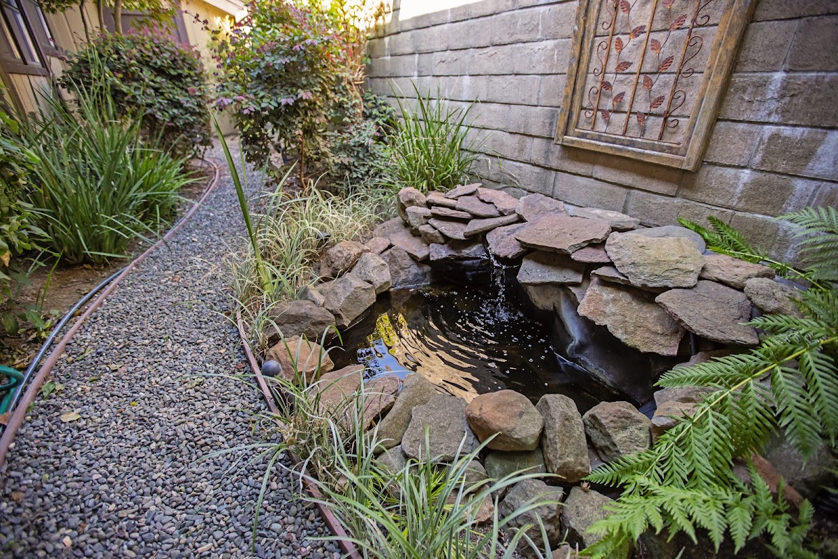 New Leaf Rohnert Park photo 3