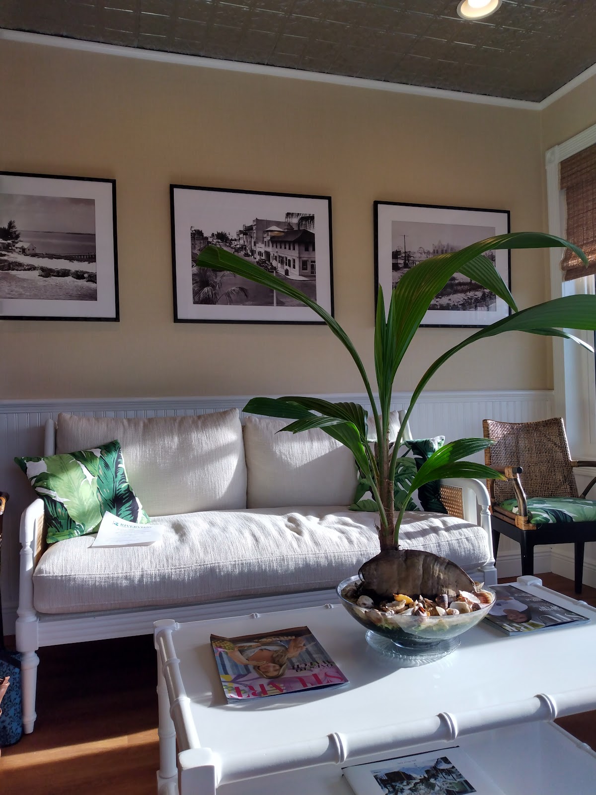 Riverview Cosmetic & Implant Dentistry photo 3