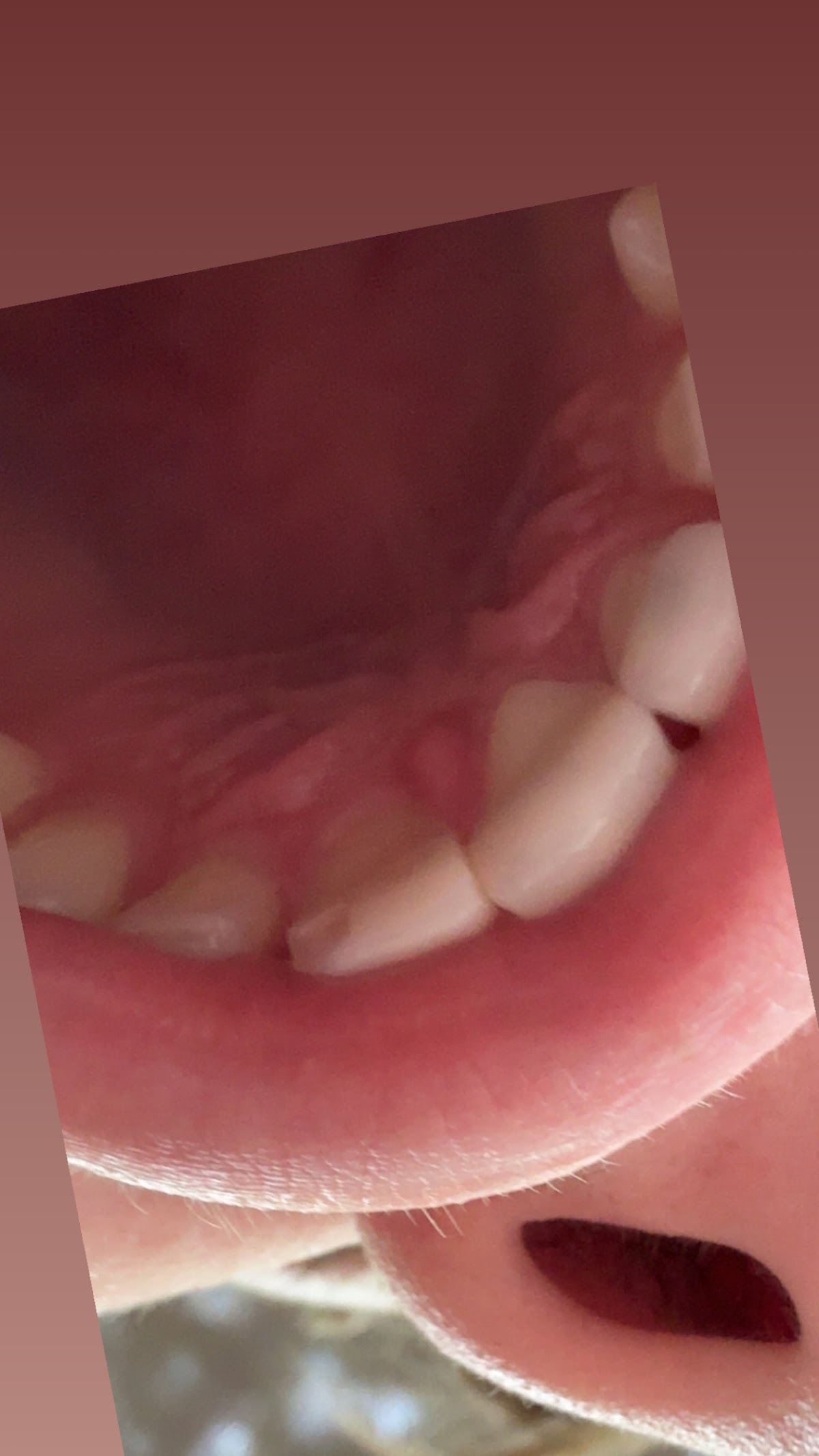 Bay Dental Center photo 4