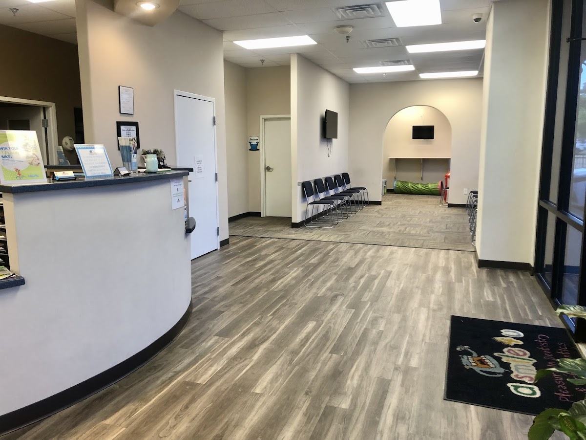 Rebel Smiles Orthodontics (oxford Family Dentistry) photo 3