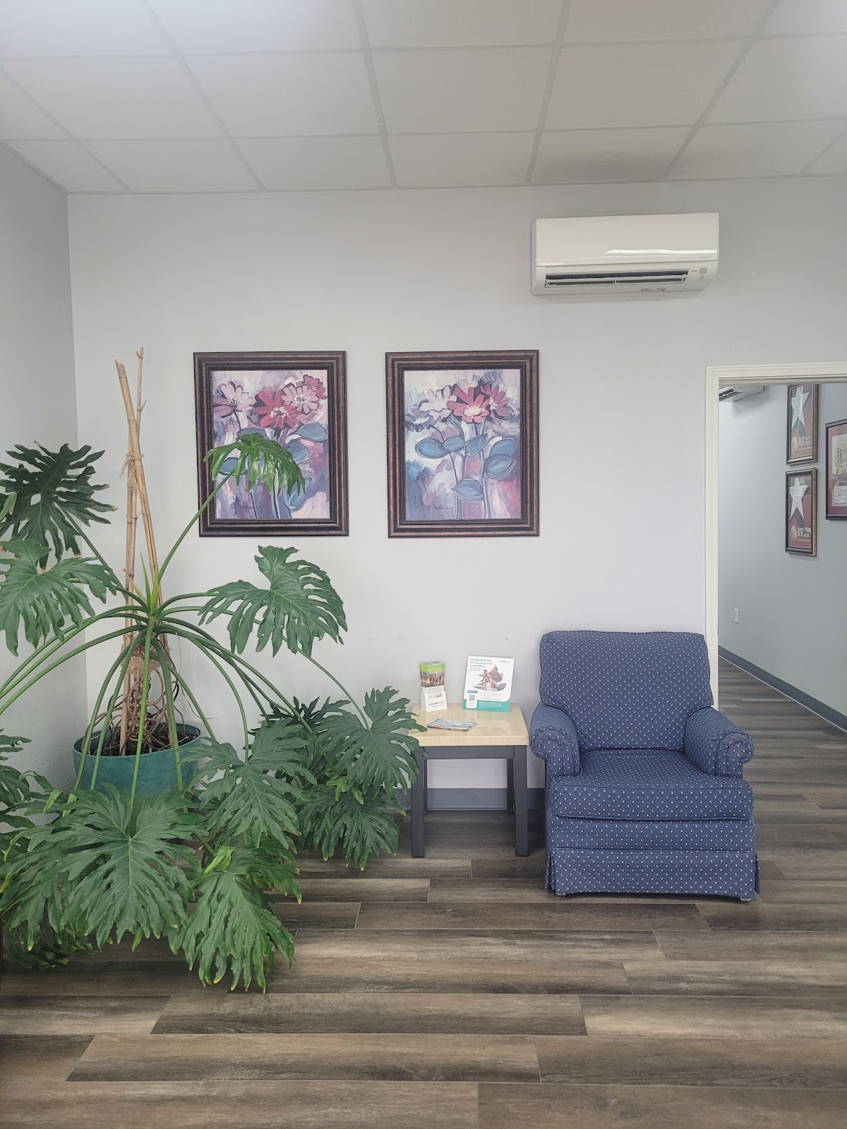 Absolute Denture Clinic photo 4