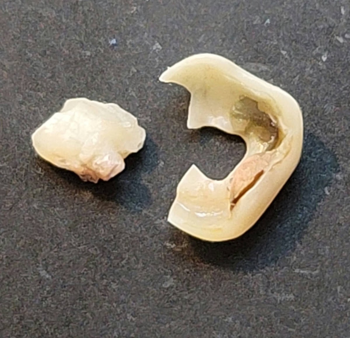 Sweet Tooth Dental photo 2
