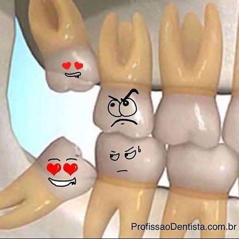Deeply-rooted Dentistry photo 4