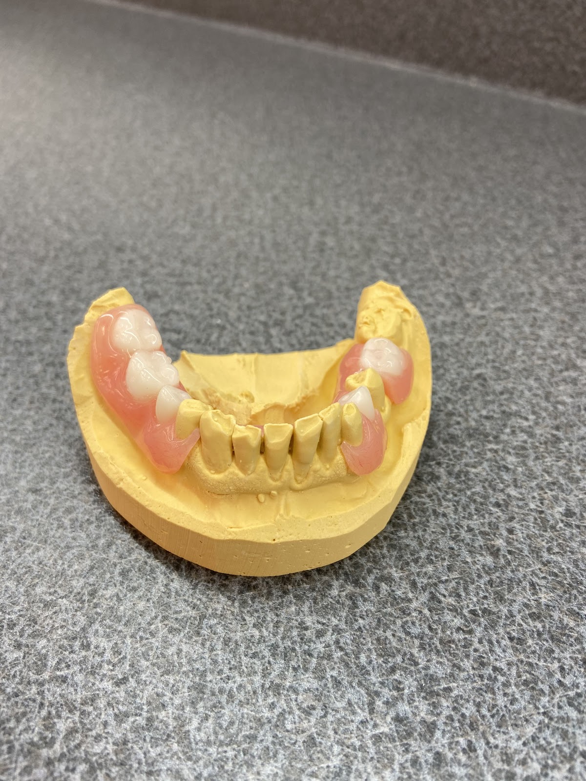 A1 Dental Services photo 1