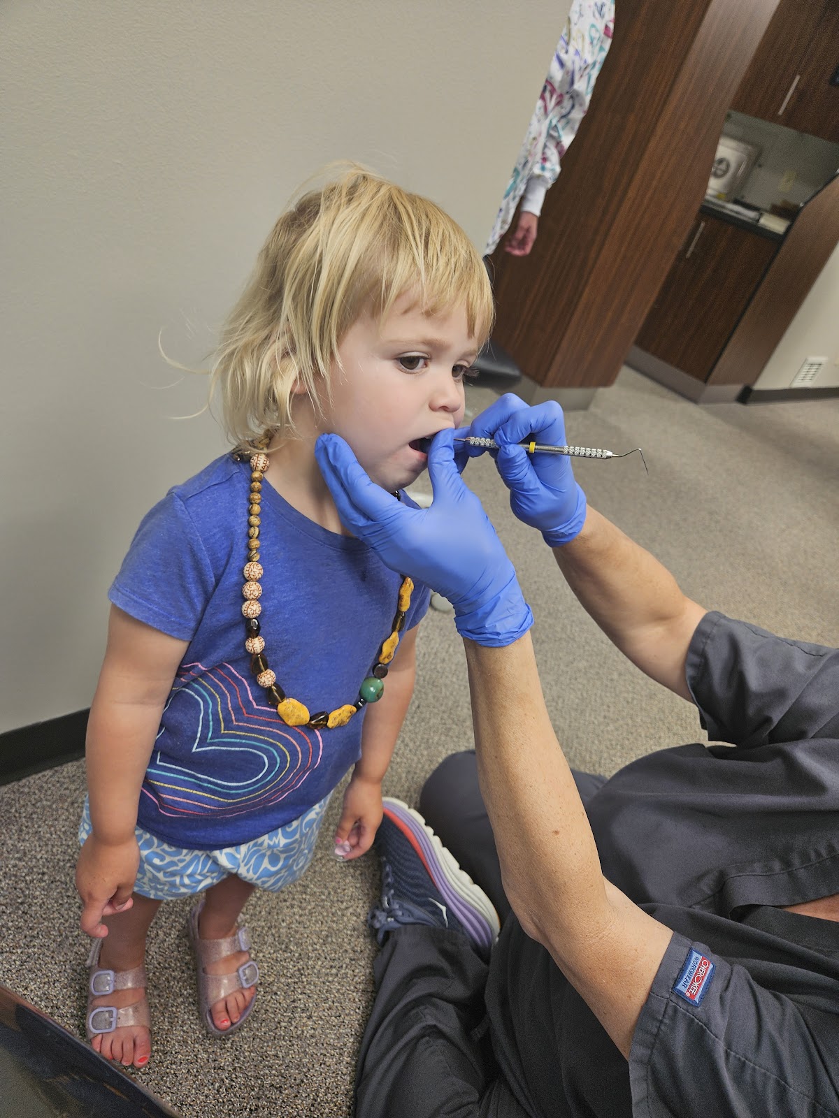 Falls Dental photo 4