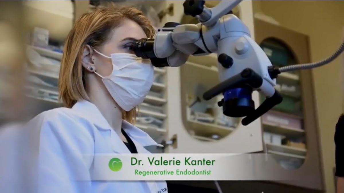 Beverly Hills Dental Health and Wellness photo 2