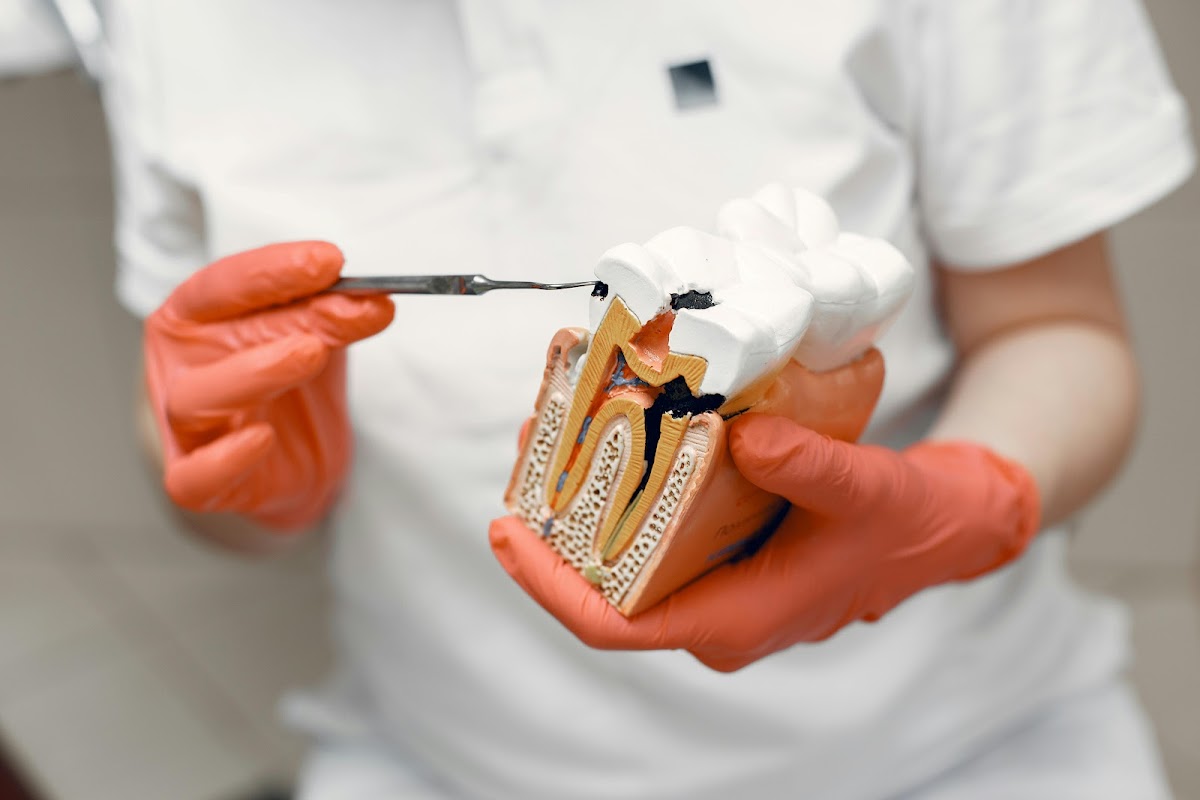 Soulard Family Dentistry - St. Louis, Mo photo 1