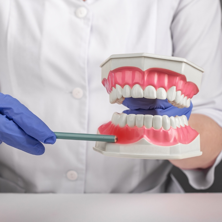 Soulard Family Dentistry - St. Louis, Mo photo 4