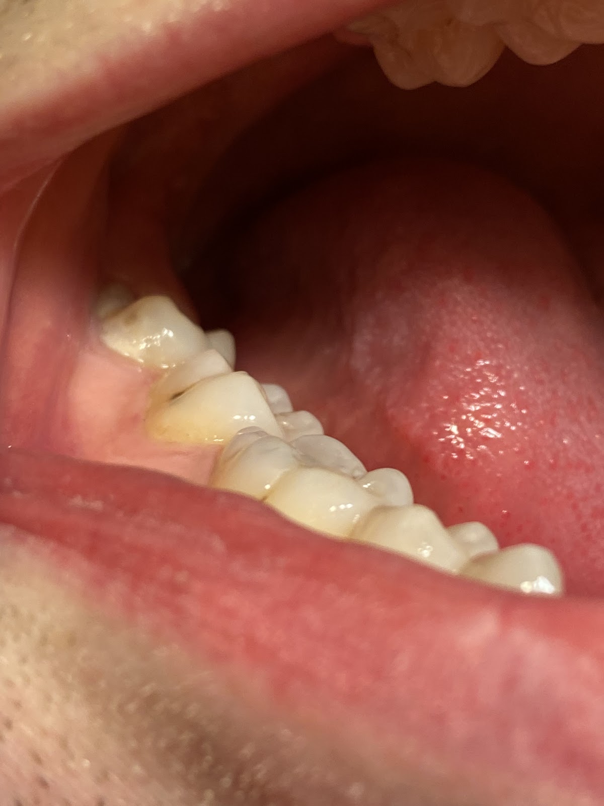 Advantage Dental+ photo 2