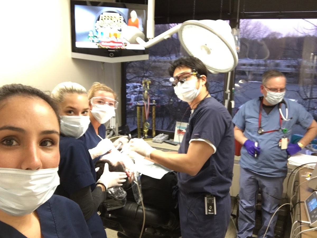 Alpine Periodontics & Dental Implant Surgery photo 6