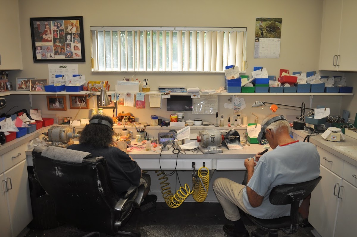 Denture Designs photo 3