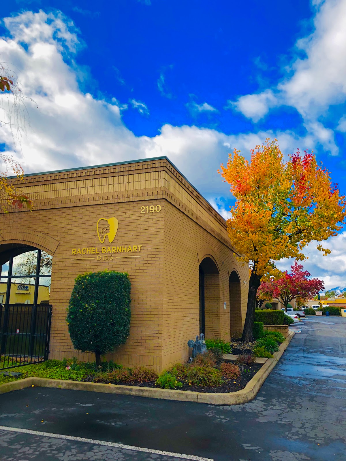 Rachel Barnhart, DDS photo 6
