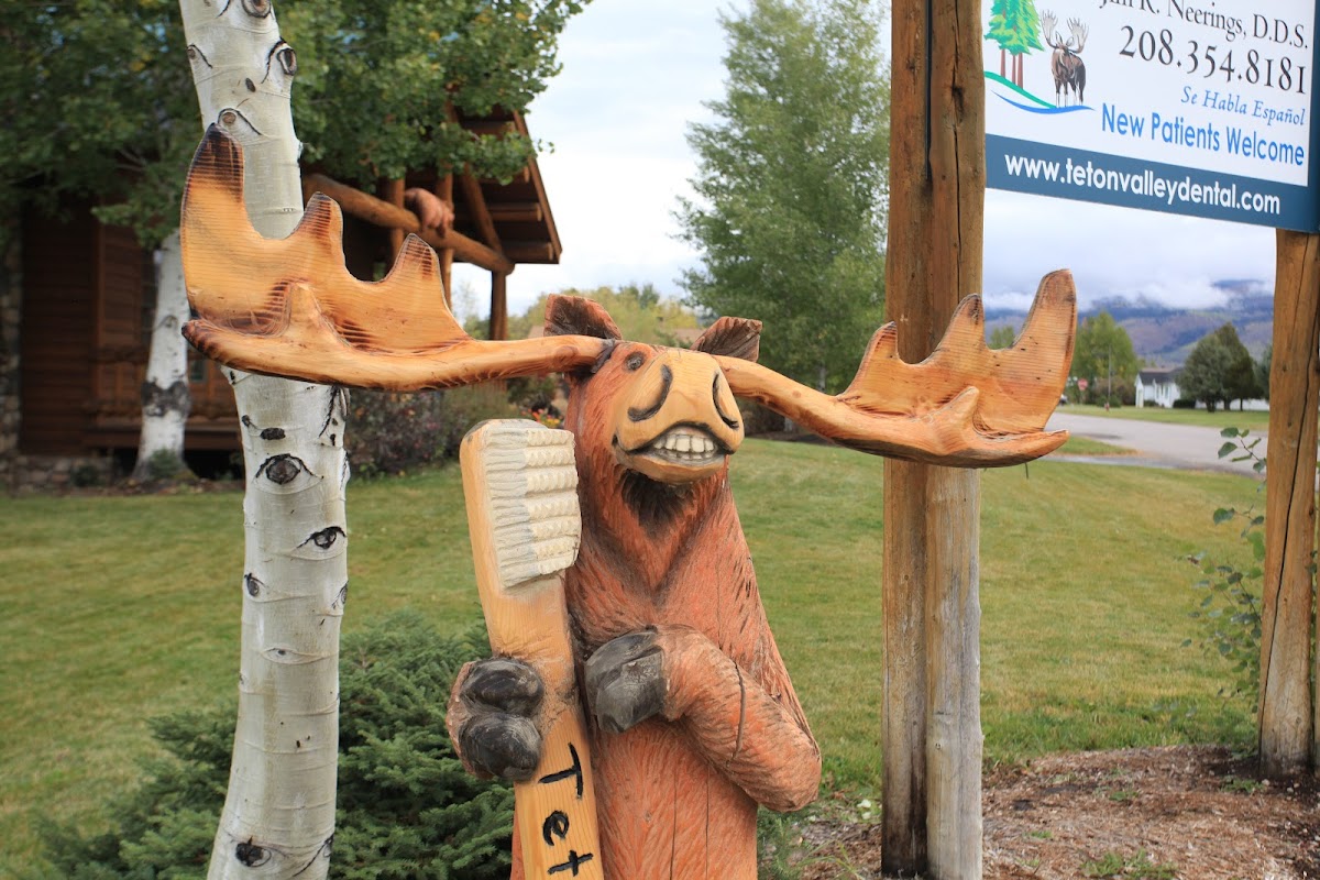 Teton Valley Dental Center photo 1
