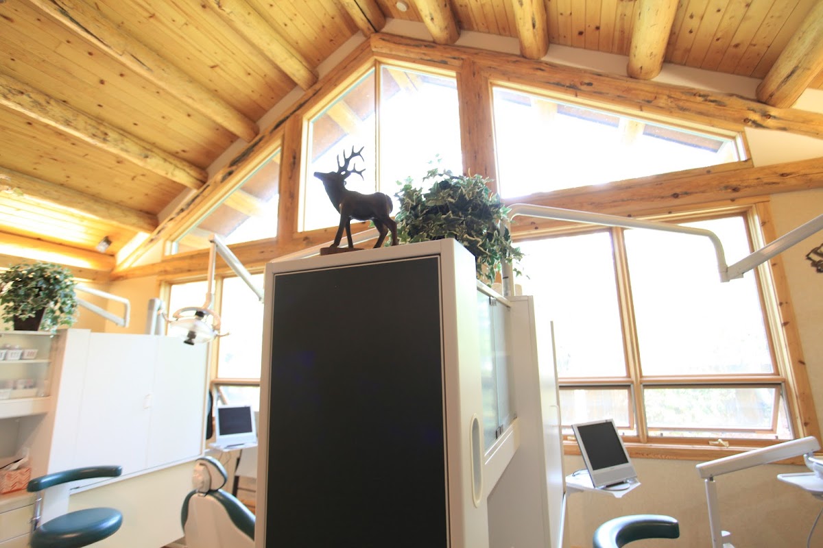 Teton Valley Dental Center photo 3