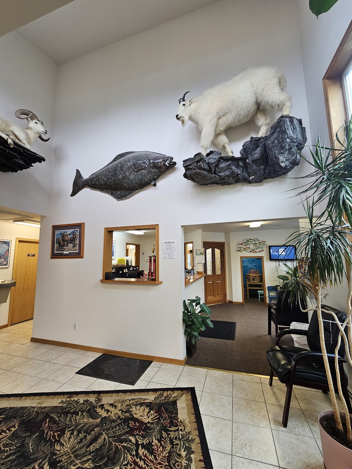 Alaska Smile Center photo 5