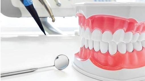 Michael G Wood, DDS, P.A. photo 1