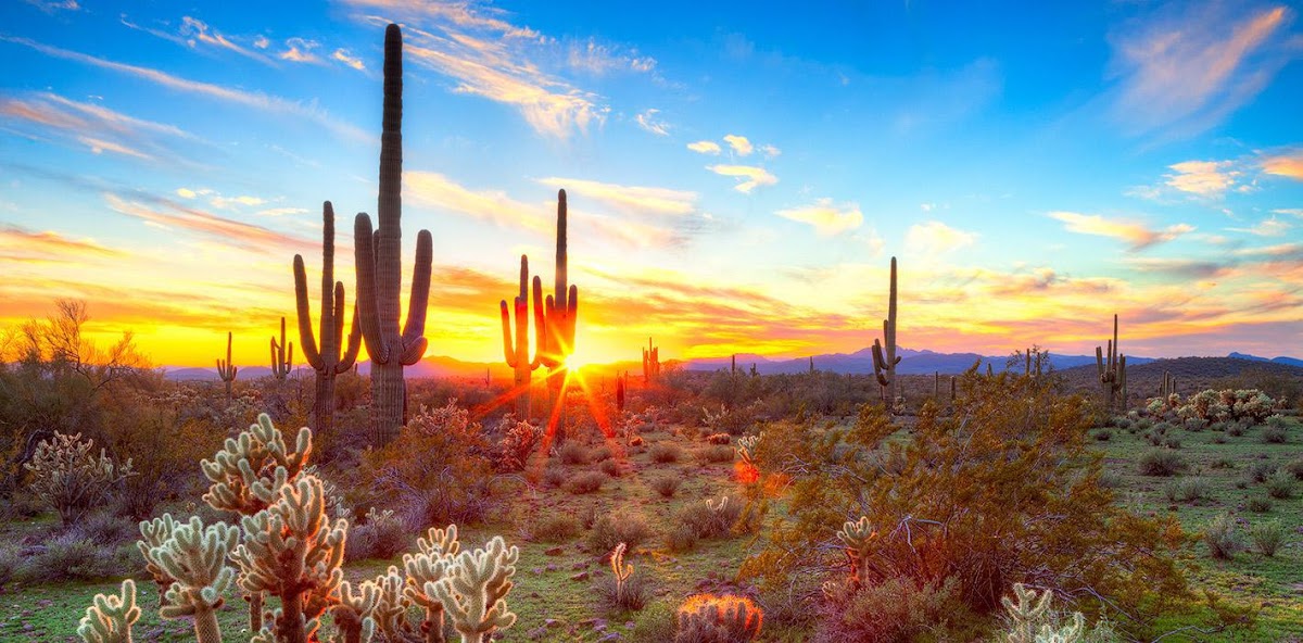 Pinnacle Peak Oral Surgery & Dental Implants: Eugene J. Kim, DDS photo 1