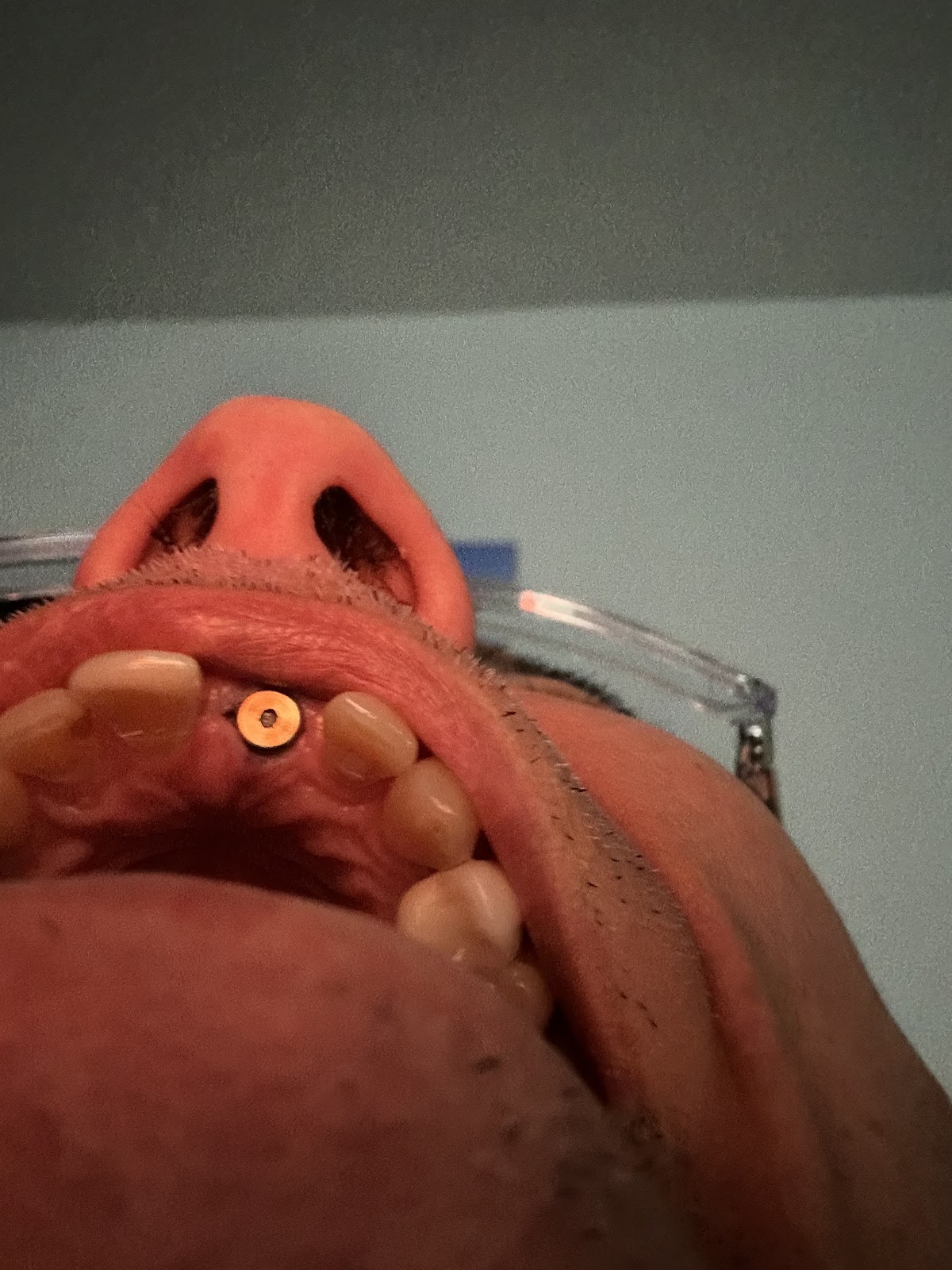 Significance Dental Specialists photo 3