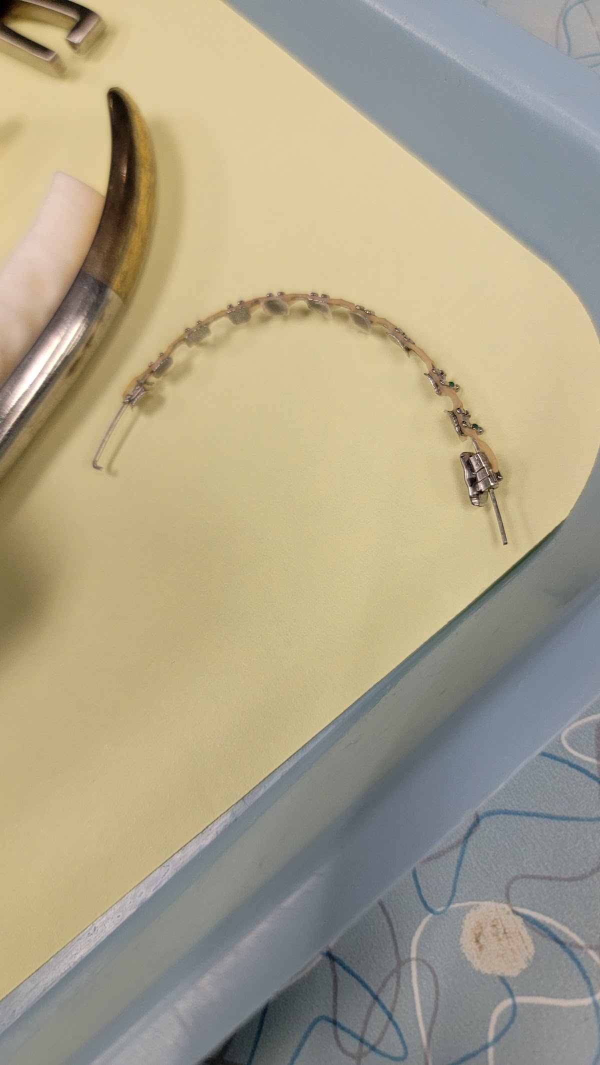 Significance Dental Specialists photo 5