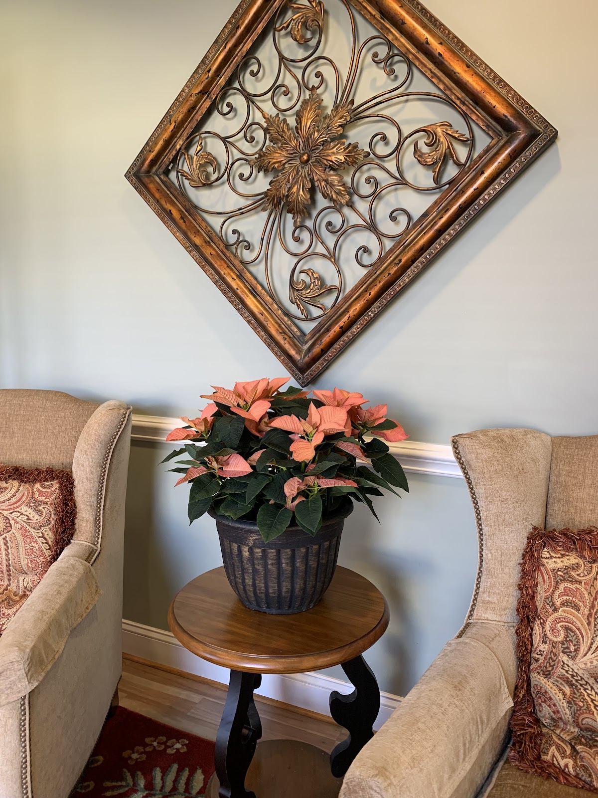 Amy Brooks, DDS, MD, PLLC photo 4