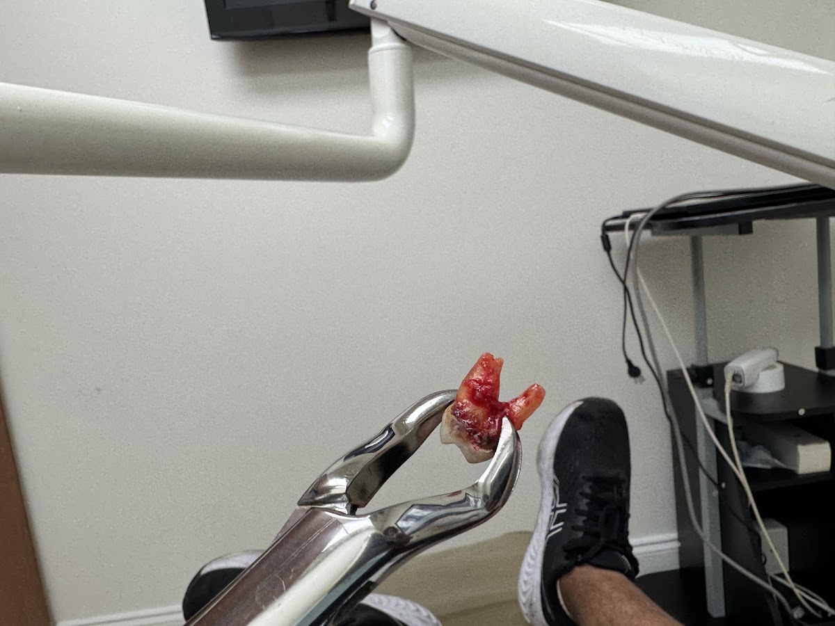 Miami Dental Group of Kendall photo 4