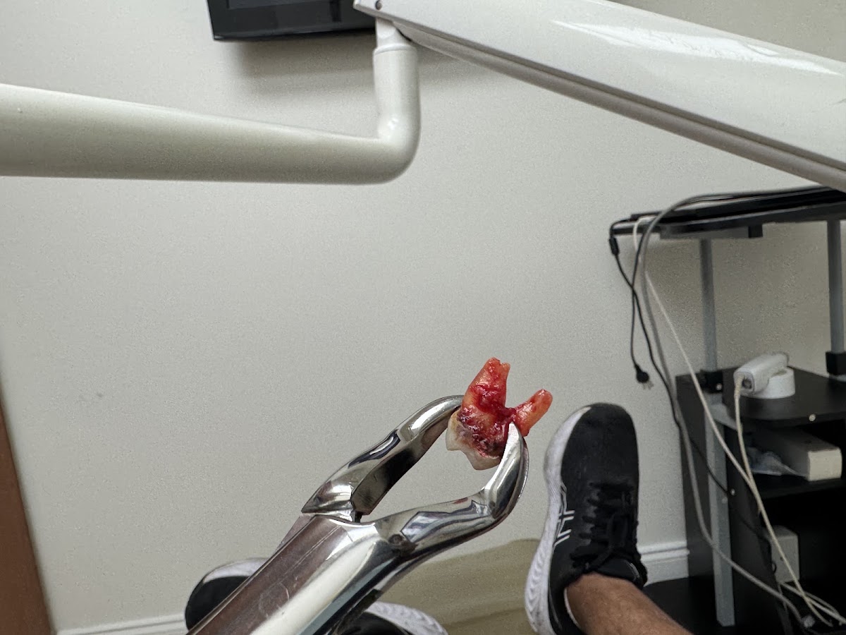 Miami Dental Group of Kendall photo 4