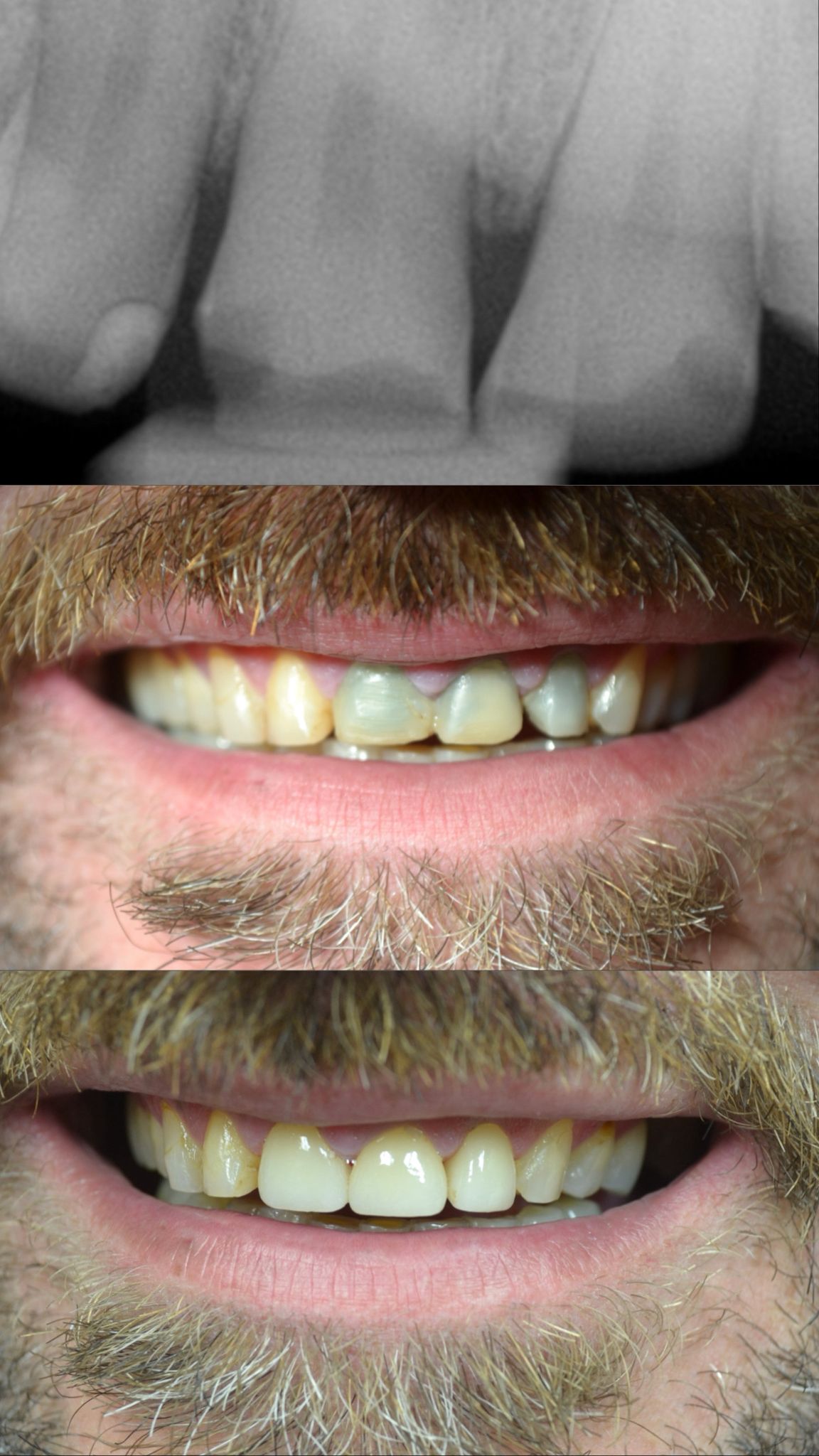 Springlake Dental photo 6
