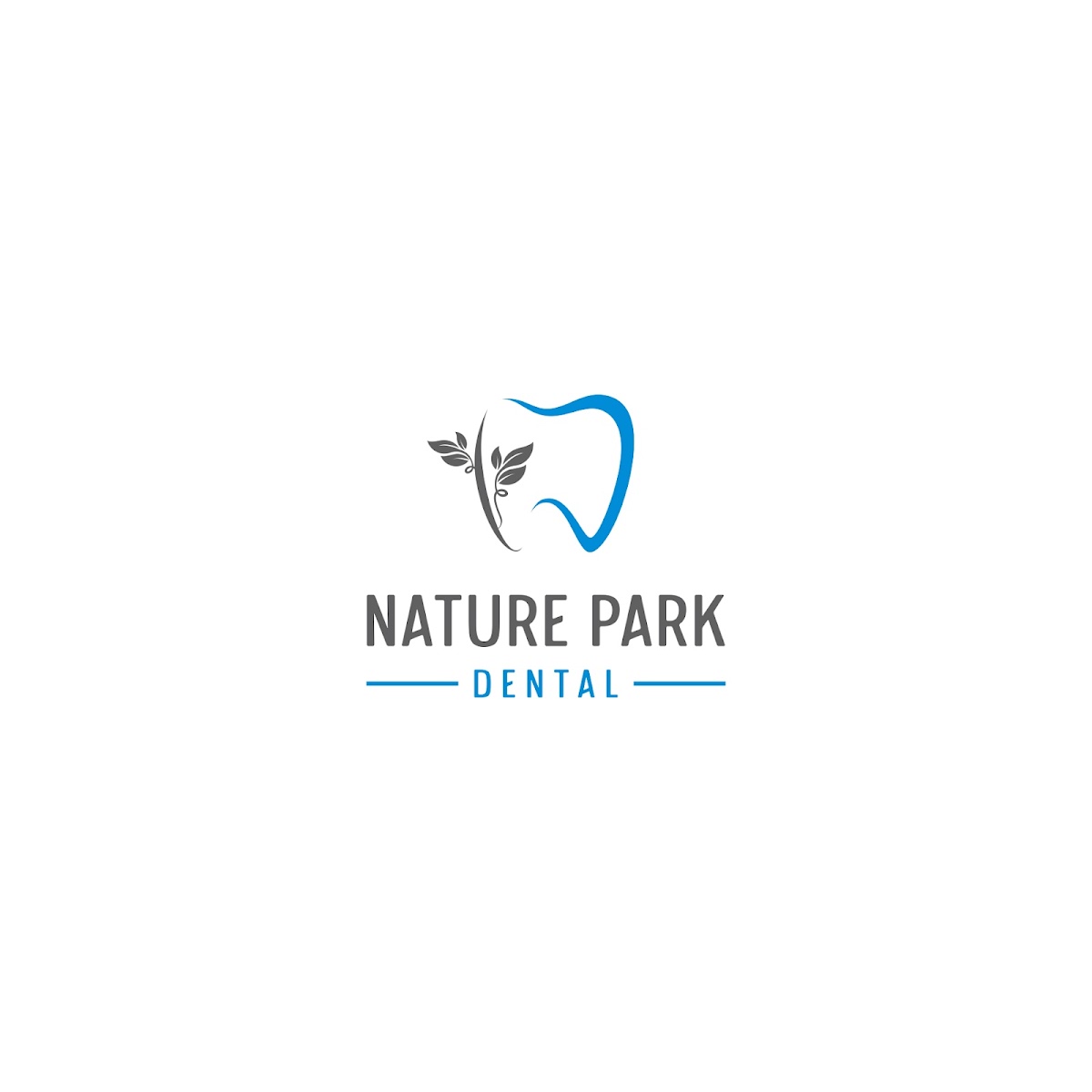 Nature Park Dental photo 6