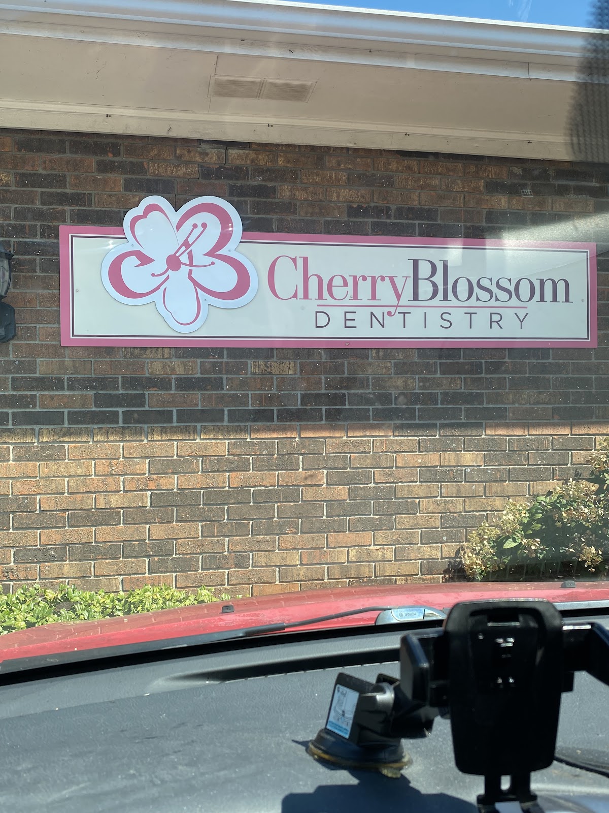 Cherry Blossom Dentistry photo 2